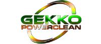 Gekko PowerClean image 1